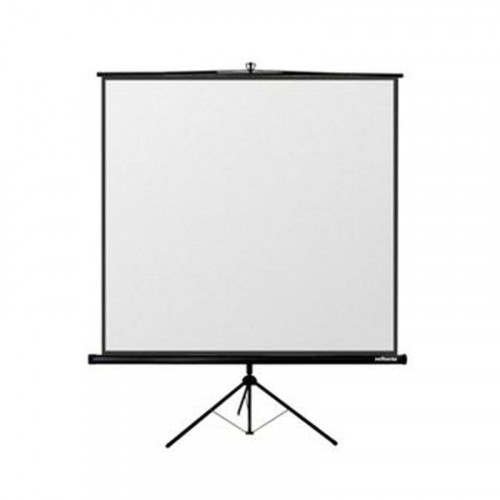 Portable Projector Screen with Stand 200 cm x 200 cm - White